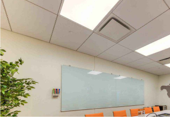 Newport Green: The CEO's Boardroom